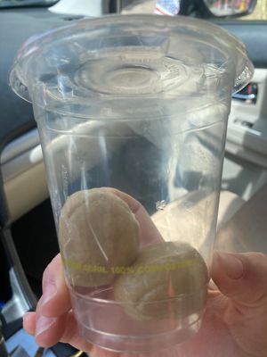 Vegan cookie dough bites!  at Whole Harvest in Saratoga Springs