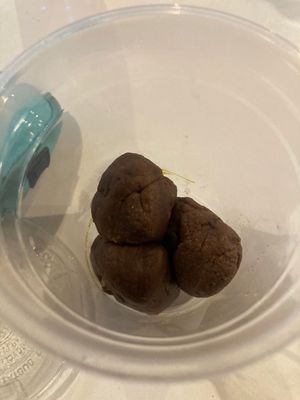 Chocolate chip cookie dough vegan at Whole Harvest in Saratoga Springs