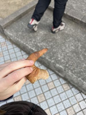 croissant - so not what i was expecting, it was salty and savoury. more of a sourdough base than a pastry , no sweetness at all.  at ao in Kamakura