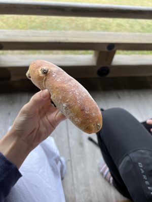 the raisin roll - the best thing i had, sweet , light & fluffy with the sweetness of the currents & bread YUM YUM YUMMM  at ao in Kamakura