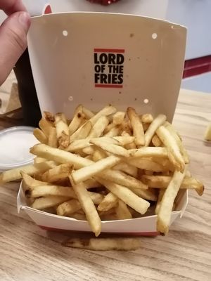 Skinny fries at Lord of the Fries in Newtown