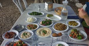 Vegan option, super tasty treditional food, plesent environent, some 80NIS per person, garden sitting, excellent hosting at El-Vadi in Mi Ilya