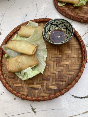 spring rolls   at Goc Pho in Frankfurt