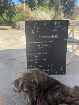   at Nymphea in Porto-vecchio