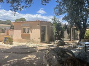   at Nymphea in Porto-vecchio