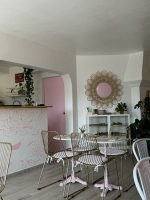   at Nymphea in Porto-vecchio