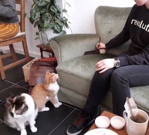 So sweet at Pluk Cats & Coffee in Maastricht