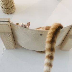 ❤️ at Pluk Cats & Coffee in Maastricht