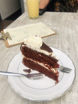 ✨ at Pluk Cats & Coffee in Maastricht