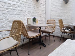 What you can expect inside the café.  at Pluk Cats & Coffee in Maastricht