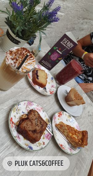 Vegan Iced Tiramisu Latte, berry smoothie, blueberry lemon cake, banana pear muffin, walnut banana bread with chocolate, apple pie at Pluk Cats & Coffee in Maastricht