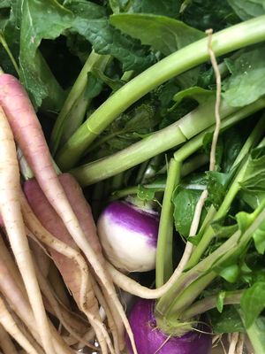 Muchas opciones de hortalizas at Amor de mis Amores in Queretaro