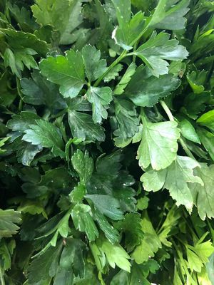 Hierbas frescas at Amor de mis Amores in Queretaro