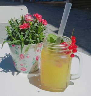 Homemade iced tea at MoMa in Mons