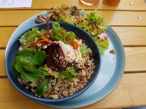 Another example of a main dish at Kochkraft in Berlin