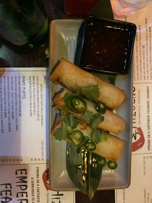 Spring rolls (you get 4)  at Mr Hizola's in Burleigh Heads