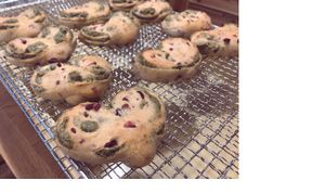 Christmas season's limited bread. With
wormwood ,cranberry and coconuts at Hinemospan  in Hirakata