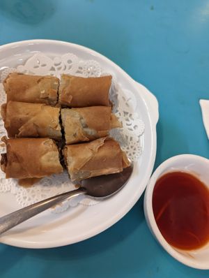 Delicious spring rolls! SO HOT THOUGH at Lucky Creation Vegetarian in San Francisco