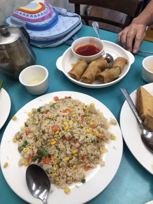 Chicken fried rice, fried spring rolls   at Lucky Creation Vegetarian in San Francisco