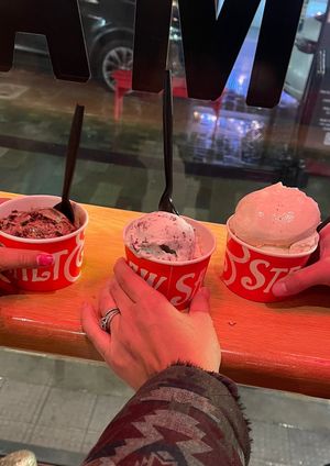 Middle one is vegan only. Mint chip and the great cookie swap.  at Salt & Straw in Burlingame