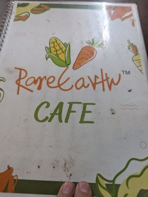  at Rare Earth - The Vegan Cafe in Mumbai