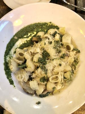 Conchiglie Alfredo at Millennium in Oakland