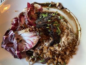 Red Wine Mushroom Farrotto  at Millennium in Oakland