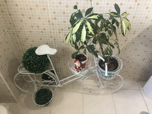 Plant bicycle  at Izzy's Market Vegetarian Boutique in Vila Do Bispo