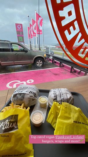 Vegan burgers double patty  at Junkyard in Reykjavik
