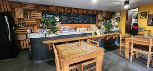  at Blooming Onion - Moctezuma in Guadalajara