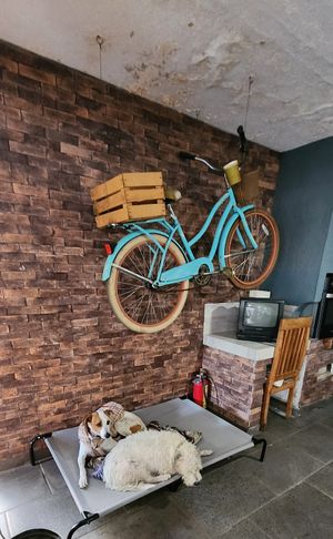  at Blooming Onion - Moctezuma in Guadalajara