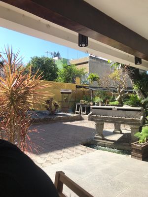 Ambience  at Blooming Onion - Moctezuma in Guadalajara