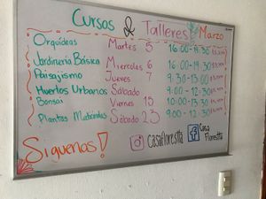 Gardening school  at Blooming Onion - Moctezuma in Guadalajara