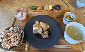   at Hiyoriya in Yakushima