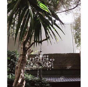   at Olive. in Wellington