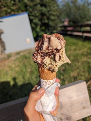 best vegan ice cream i've ever had. (and i had a lot!) incredible creamy and delicious. at Nettuno in Salerno