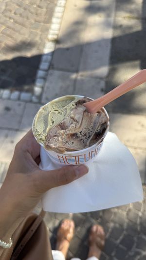   at Nettuno in Salerno