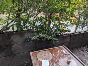 The view at Vermillion - cafe. in Kyoto