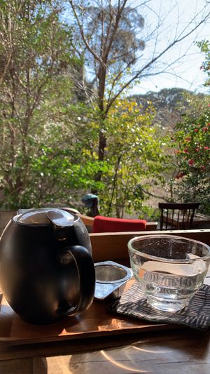 Sencha Green Tea at Vermillion - cafe. in Kyoto