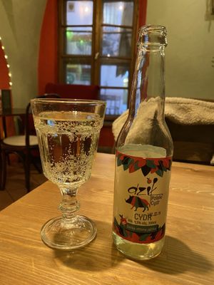   at no bones in Krakow