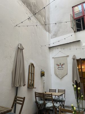   at no bones in Krakow