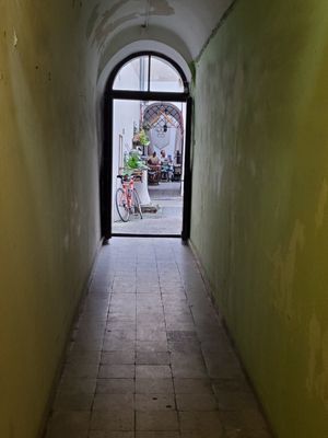  at no bones in Krakow