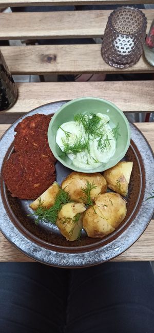  at no bones in Krakow