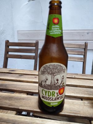  at no bones in Krakow