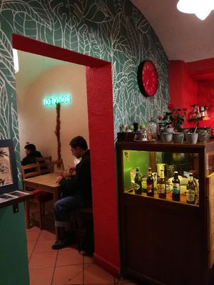  at no bones in Krakow