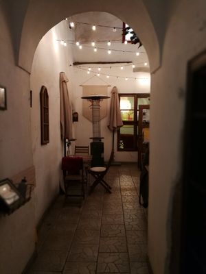  at no bones in Krakow