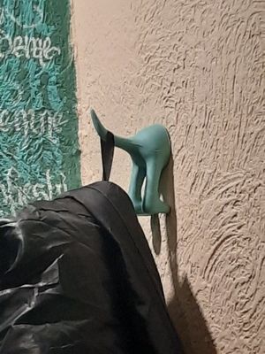  at no bones in Krakow