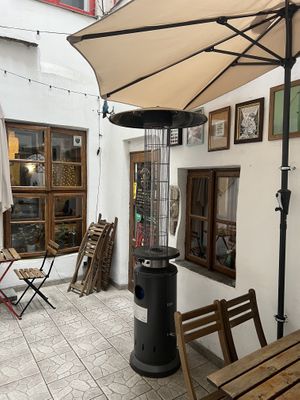   at no bones in Krakow