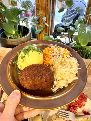 Traditional Polish dish with pure, pickled salads and delicious vegan meat   at no bones in Krakow