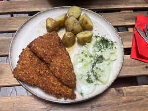   at no bones in Krakow